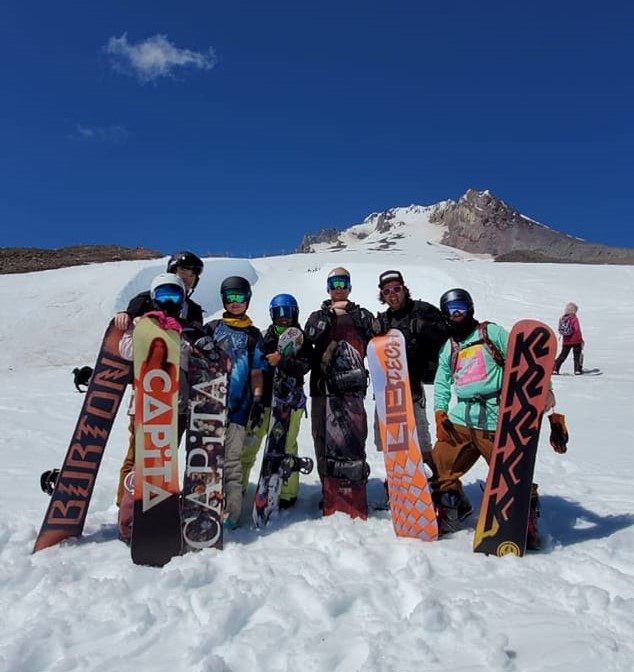 Timberline in Summer